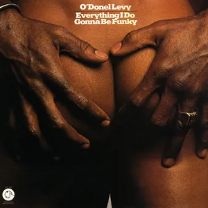 Everything I do gonna be funky